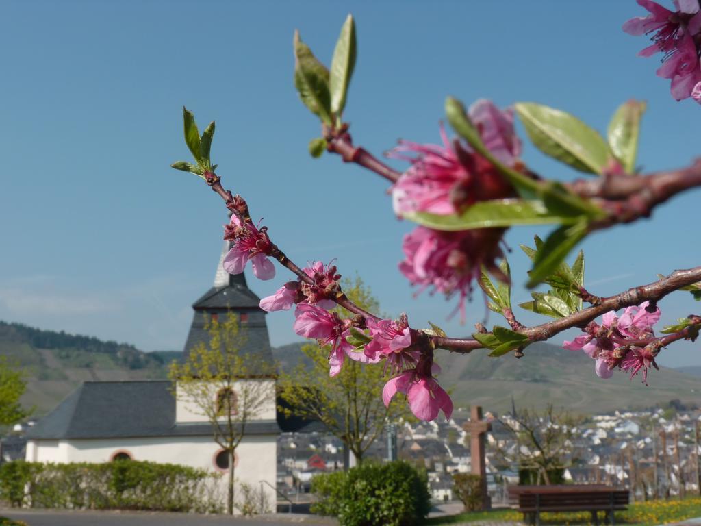 Gastehaus & Weingut Clusserath-Weiler Trittenheim Eksteriør billede