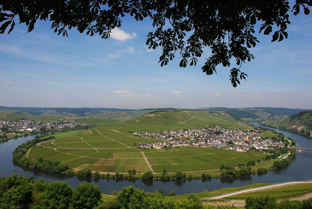 Gastehaus & Weingut Clusserath-Weiler Trittenheim Eksteriør billede